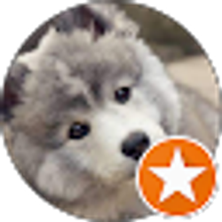 Profile photo of STEPHANIE