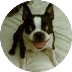 Profile photo of Robert Santillano