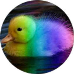 Profile photo of Jwchilson16