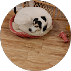 Profile photo of Sandra Hodges