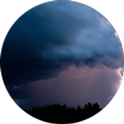 Profile photo of Mz Miss