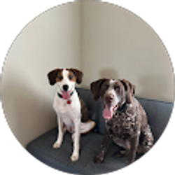 Profile photo of Alicia