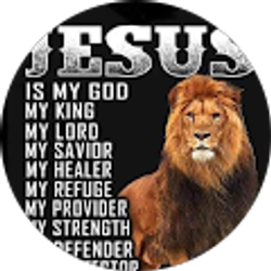 Profile photo of Rich Majewski