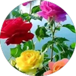 Profile photo of Abu Amin