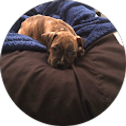 Profile photo of Its Awhsy