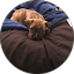 Profile photo of Its Awhsy