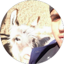 Profile photo of Joseph “jojo” Maldonado