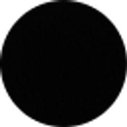 Profile photo of Kallie Basch