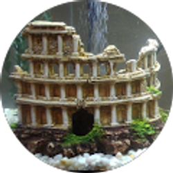 Profile photo of Antonio M. Diaz