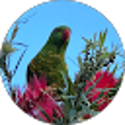 Profile photo of Marco Po (MPCH)