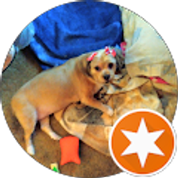 Profile photo of patricia sandifer