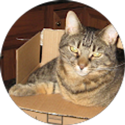 Profile photo of Bones Baratta