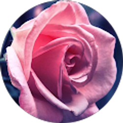 Profile photo of Kay B