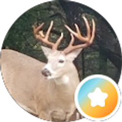 Profile photo of Porter