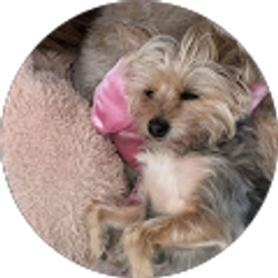 Profile photo of Angelica Hicks