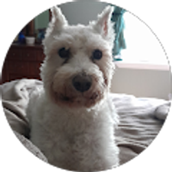 Profile photo of Fred Burley