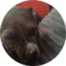 Profile photo of Black Shadow