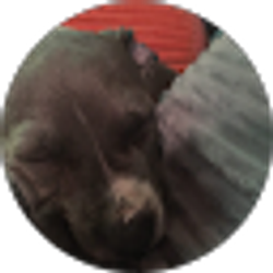 Profile photo of Black Shadow