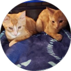 Profile photo of Sara Jefferson