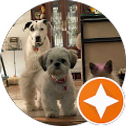 Profile photo of Christine Miranda