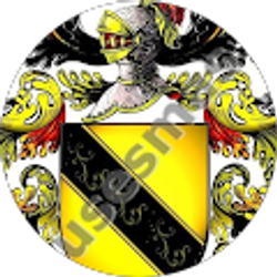 Profile photo of roberto P