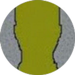 Profile photo of William Williams