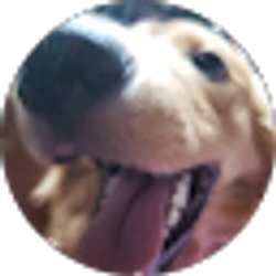 Profile photo of CidulFaust