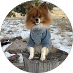 Profile photo of Debbie Maxwell