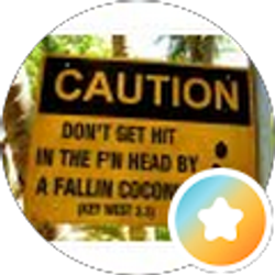 Profile photo of Nick