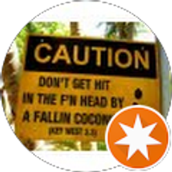 Profile photo of Nick