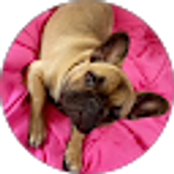 Profile photo of Laurie Sweet