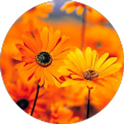 Profile photo of Bouie Travels