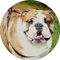 Profile photo of Steve Nunyabiznis