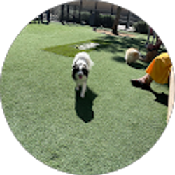 Profile photo of Brenda Wickline