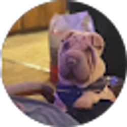 Profile photo of Justin Haley