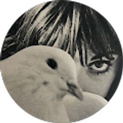 Profile photo of sofía g.