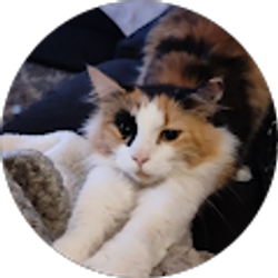 Profile photo of Bianca Kaykay