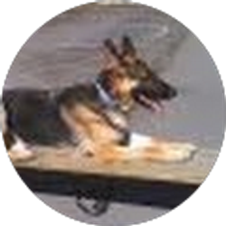 Profile photo of Roger Kutzler