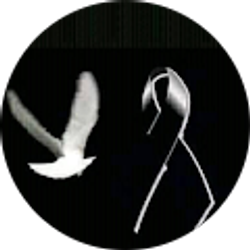 Profile photo of Isabel Muñoz