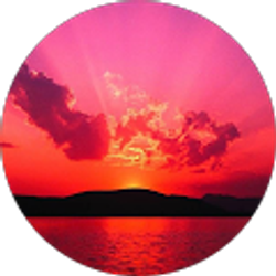 Profile photo of Wayne