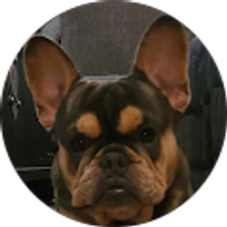 Profile photo of Allen Jenkins