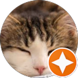 Profile photo of Alicia