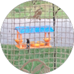 Profile photo of patricia s