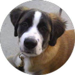 Profile photo of Z K