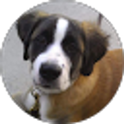Profile photo of Z K