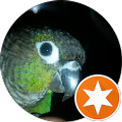 Profile photo of Eddie Edmundo Alvarez