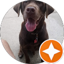 Profile photo of Nick Boyd