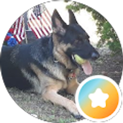 Profile photo of mikel valerio