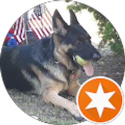 Profile photo of mikel valerio