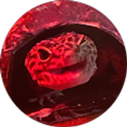 Profile photo of Haley Mikus